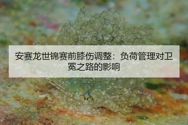 安赛龙世锦赛前膝伤调整：负荷管理对卫冕之路的影响