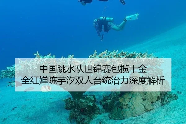 中国跳水队世锦赛包揽十金 全红婵陈芋汐双人台统治力深度解析